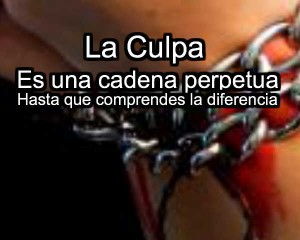 culpa